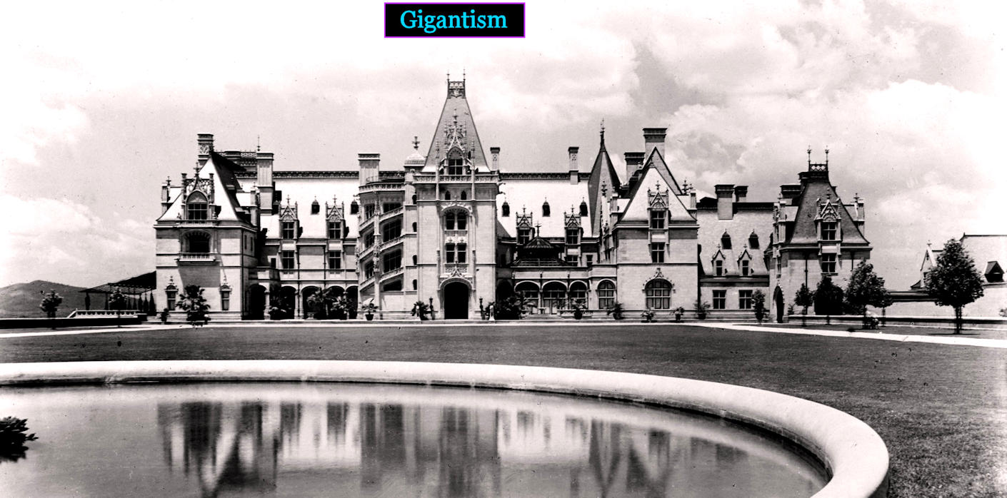 Biltmore Estate, 1890